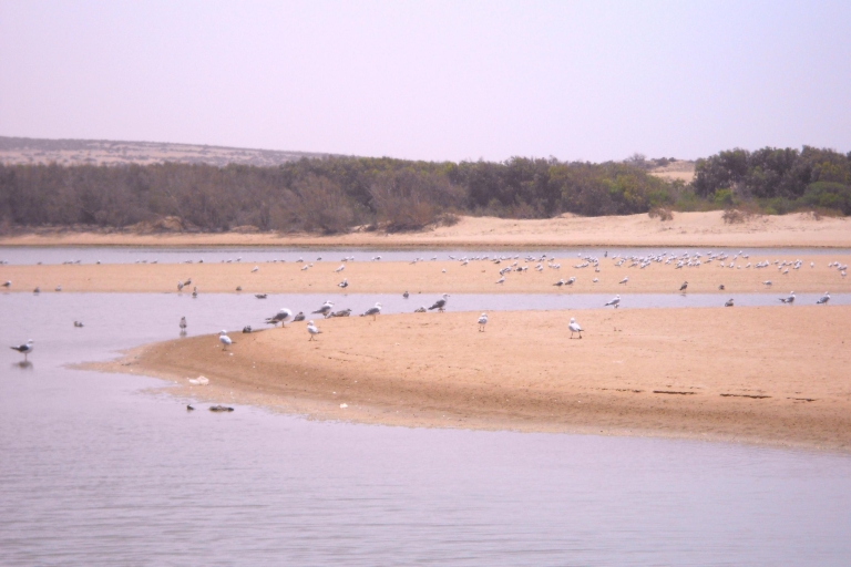 Depuis Agadir : parc national de Souss-Massa