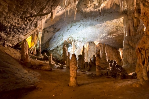 Jaskinia Postojna i Predjamski Grad: wycieczka półdniowa