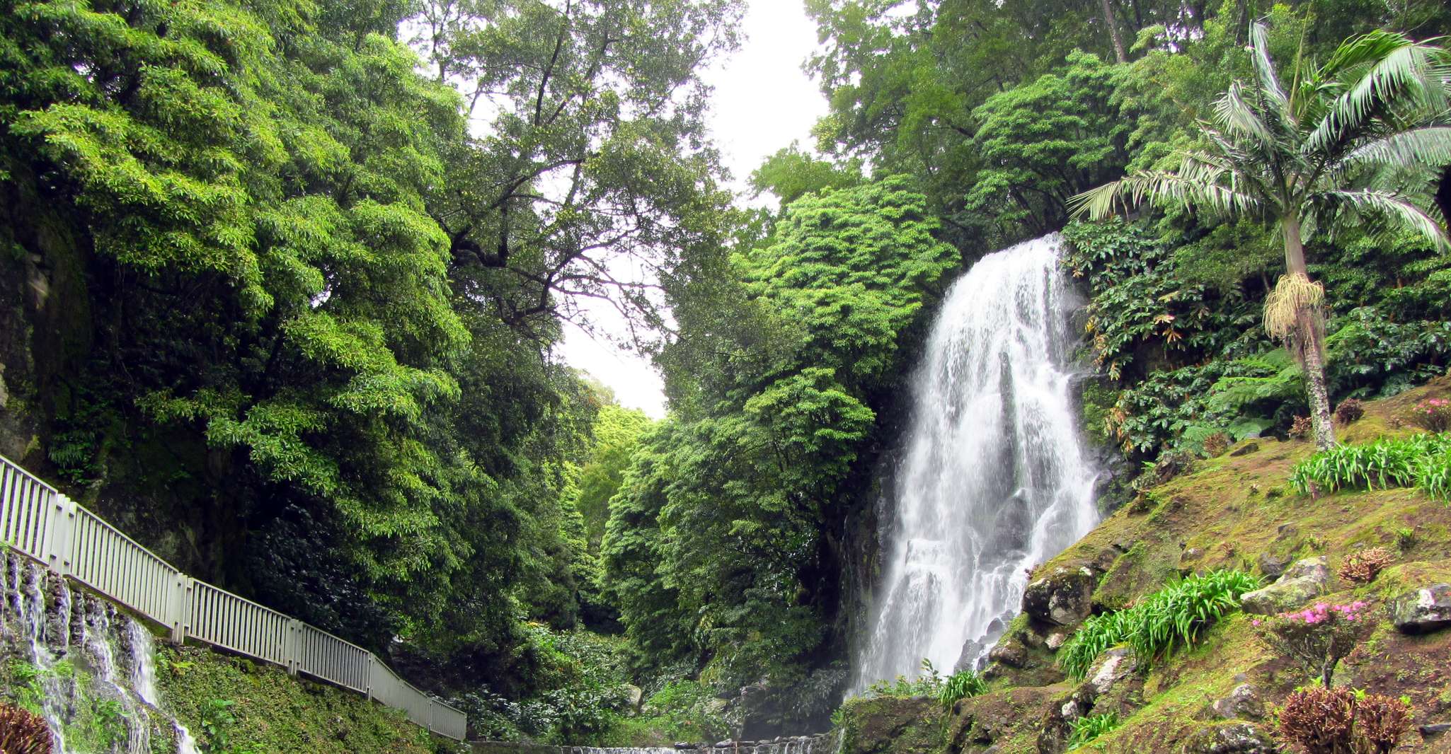 Nordeste Tour from Ponta Delgada - Housity
