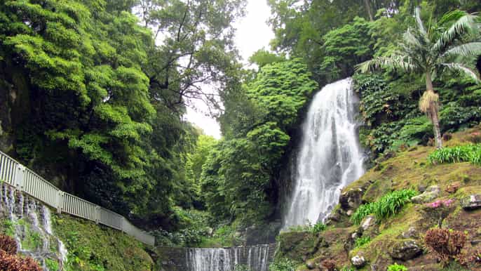 nordeste tour from ponta delgada