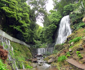 Nordeste Tour from Ponta Delgada