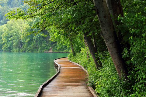 Lubiana: Tour di un giorno del lago di Bled, delle grotte di Postumia e di Predjama