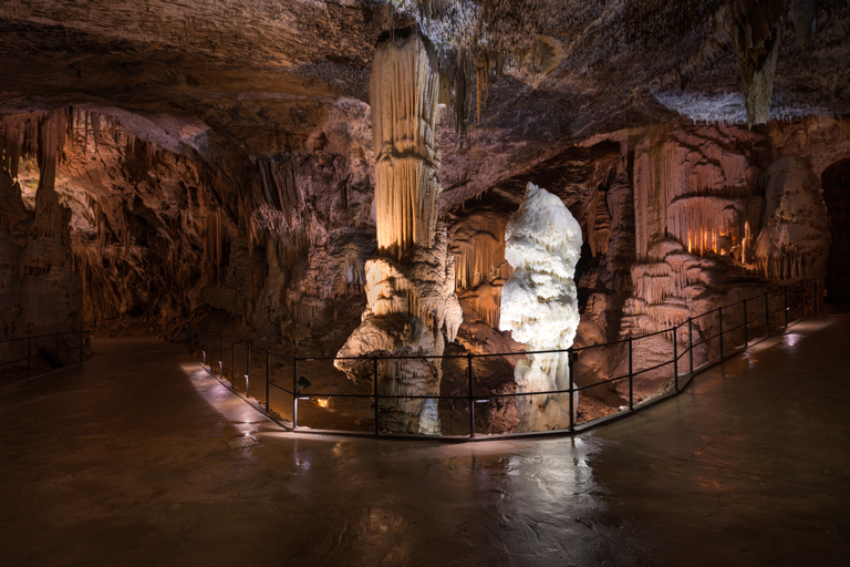 Lubiana: Tour di un giorno del lago di Bled, delle grotte di Postumia e di Predjama