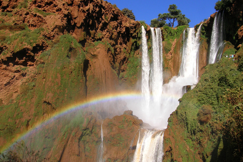 From Marrakech: Ouzoud Waterfalls Full-Day Private Trip Ouzoud Waterfalls Private Excursion from Marrakech