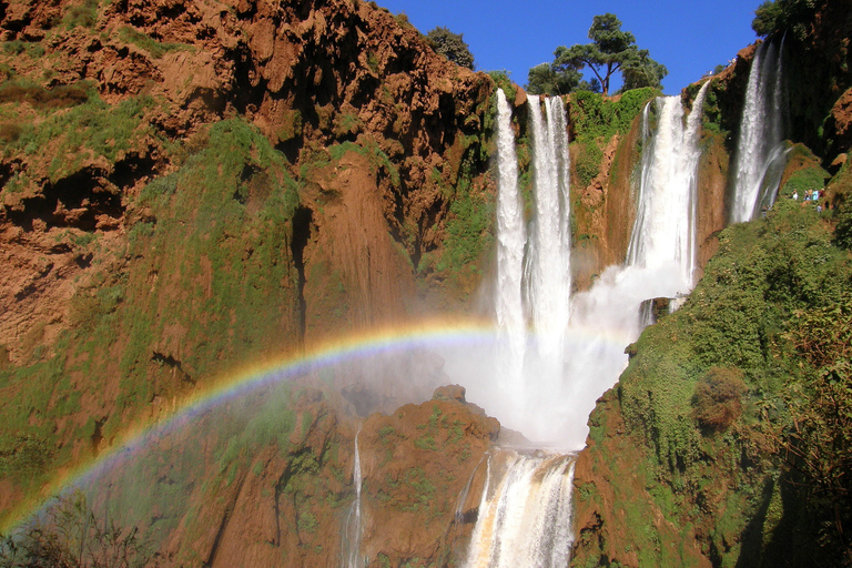 Desde Marrakech: tour privado 1 día a las cascadas de OuzoudDesde Marrakech: excursión privada a las cascadas de Ouzoud