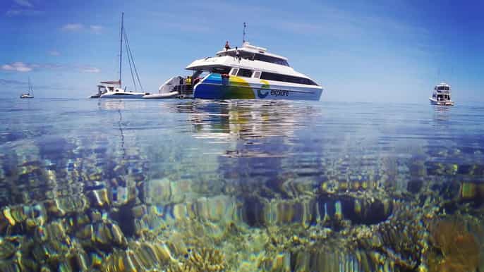 hamilton island fullday great barrier reef snorkel cruise