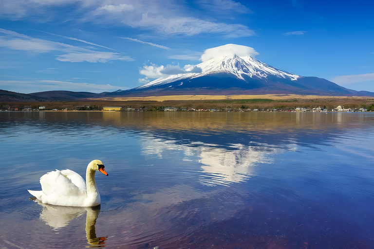 Mount Fuji Day Tour: Instagrammable Spots + Scenic Train From Tokyo (Including ropeway and cruise)