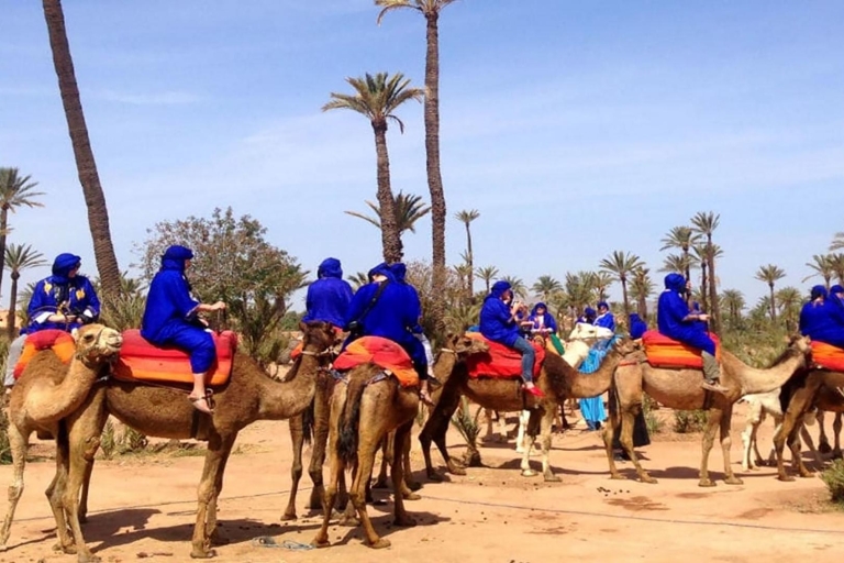 Marrakesch: 1-stündiger Kamelritt durch den Palmenhain
