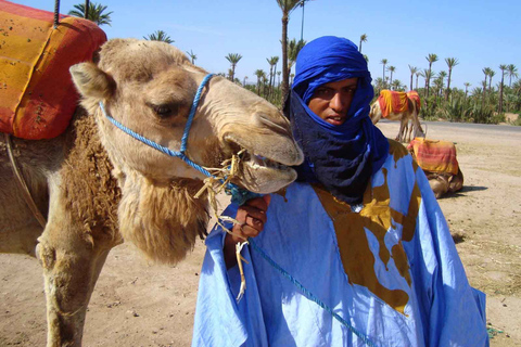 Marrakech : balade en chameau dans la palmeraie