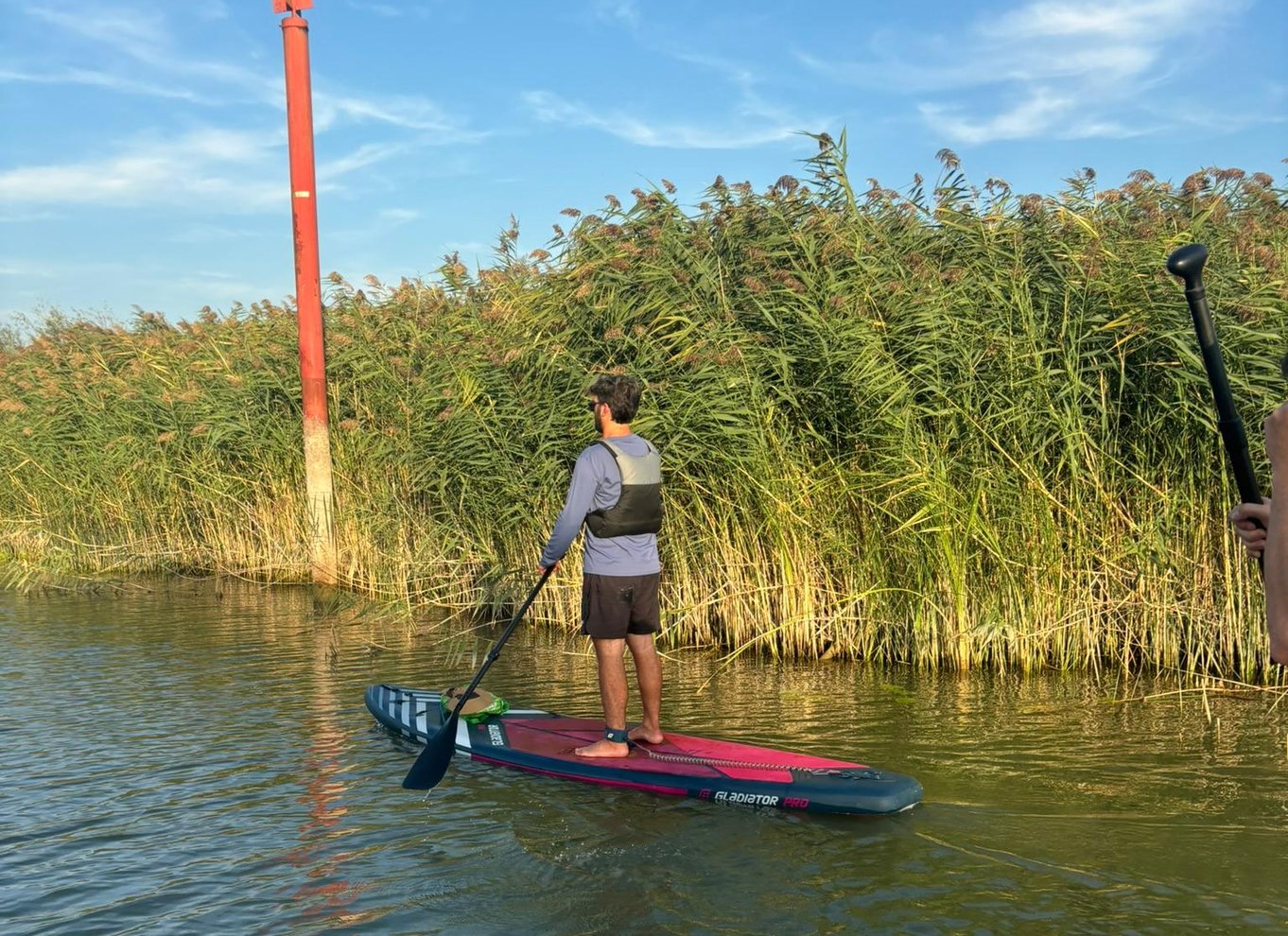 Virpazar: Udforsk den fantastiske Skadarsø på paddleboard