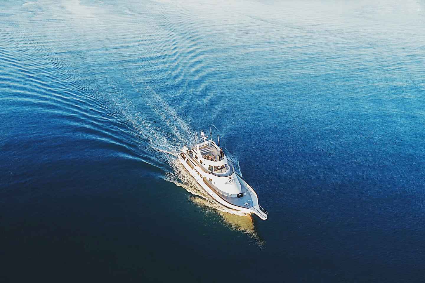 Reykjavik: New Years Fireworks Midnight Cruise