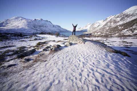 Tromsø: Subarctic Fjord Small Group Tour with Hotel Pickup