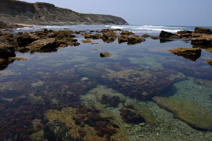 Image 6