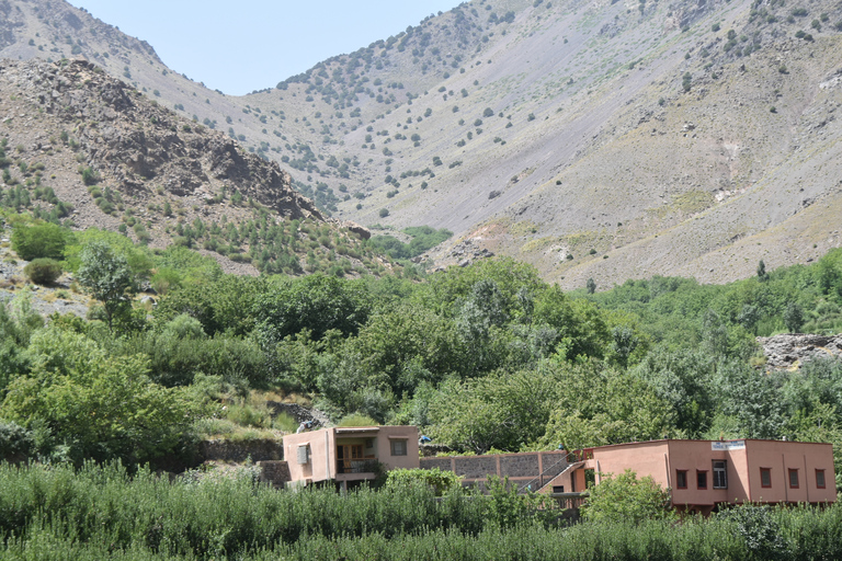 Vanuit Marrakesh: dagtrip nationaal park ToubkalGedeelde dagtocht