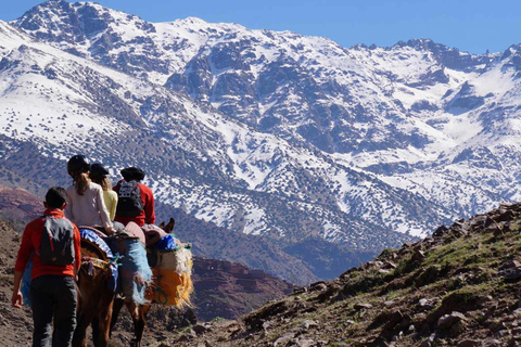 Excursión de un día al Parque Nacional Toubkal desde MarrakechExcursión compartida de un día