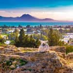 Tour di Cartagine, Museo del Bardo, Sidi Bou Said e Medina di Tunisi