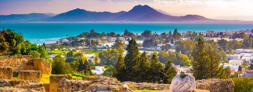 Visite de Carthage, du musée du Bardo, de Sidi Bou Saïd et de la médina de Tunis