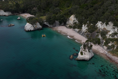 Ex Auckland Excursión de un día a las ISLAS ALDERMAN y la AVENTURA DE RUAMAAHU