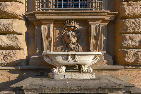 Florença: Galeria Palatina e visita guiada ao Palácio Pitti