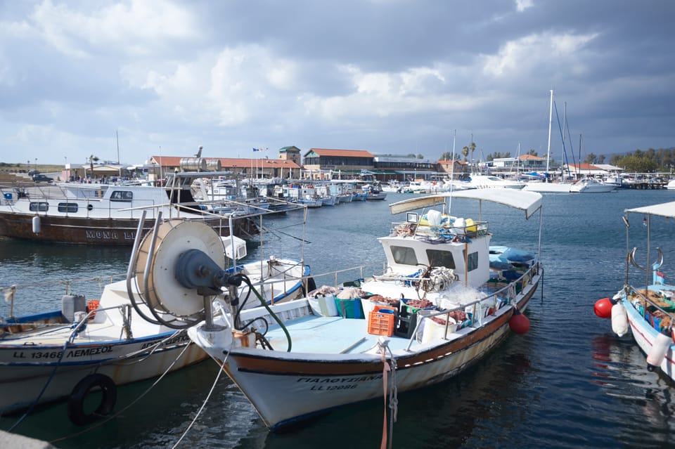 From Ayia Napa & Protaras Kourion Tour and Paphos Town GetYourGuide
