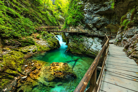 Tour de los lagos alpinos de Bled y Bohinj desde Ljubljana