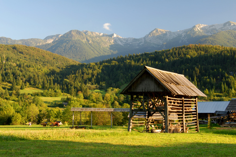 Ljubljana: Viagem de 1 dia ao Lago Bled e ao Parque Nacional TriglavLjubljana: Viagem de 1 dia em grupo ao Lago Bled e ao Parque Nacional Triglav