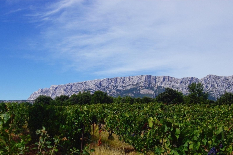 Coteaux d'Aix: Ste Victoire Wine Tour & Cezanne Mill Visit
