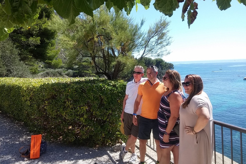 Au départ de Marseille : Visite des vins de Bandol/Cassis avec Point de vueMarseille : Visite guidée privée sur le thème du vin