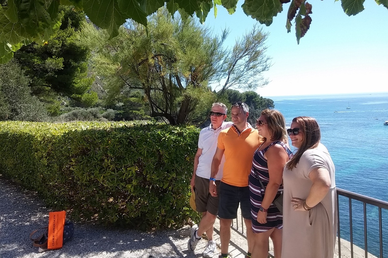 Au départ de Marseille : Visite des vins de Bandol/Cassis avec Point de vueMarseille : Visite guidée privée sur le thème du vin