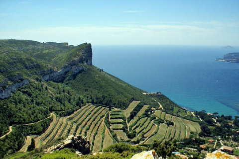 Vanuit Marseille: Bandol/Cassis wijntour met uitzichtpuntMarseille: Wijntour met privégids