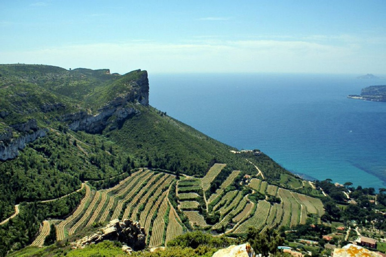 Au départ de Marseille : Visite des vins de Bandol/Cassis avec Point de vueMarseille : Visite guidée privée sur le thème du vin