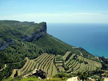 From Marseille: Bandol/Cassis Wine Tour with Viewpoint
