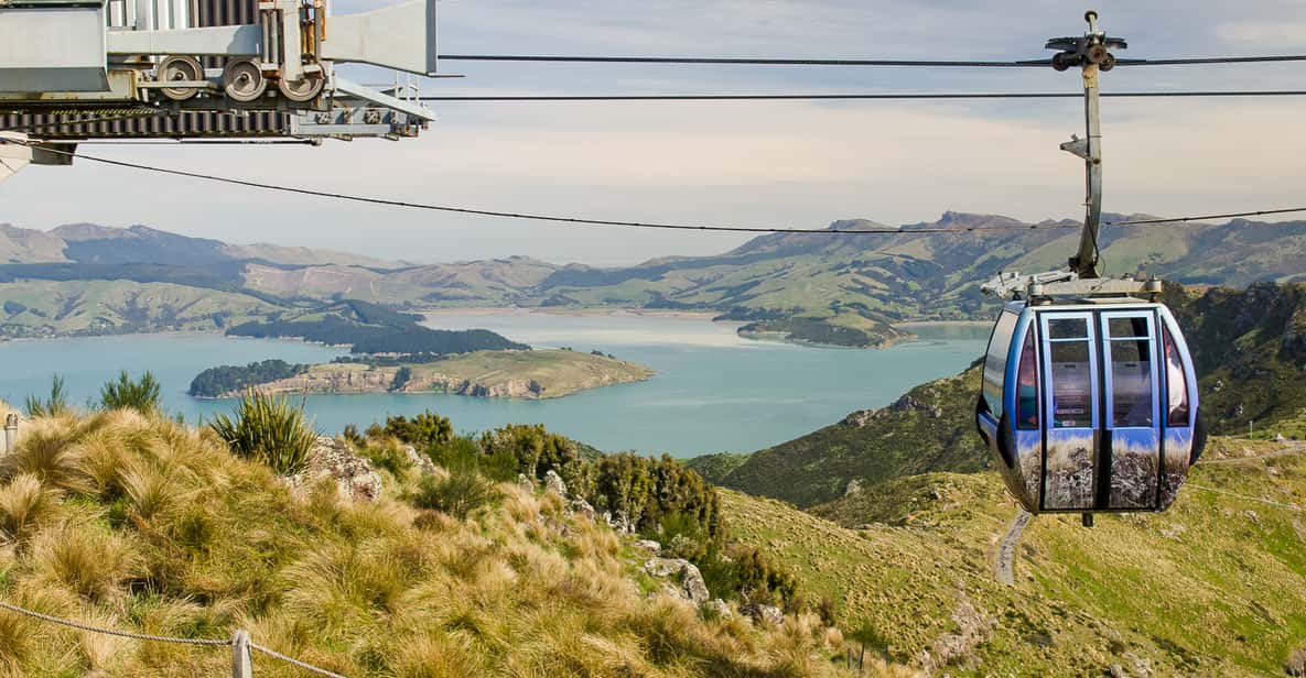 Christchurch Gondola Ride GetYourGuide