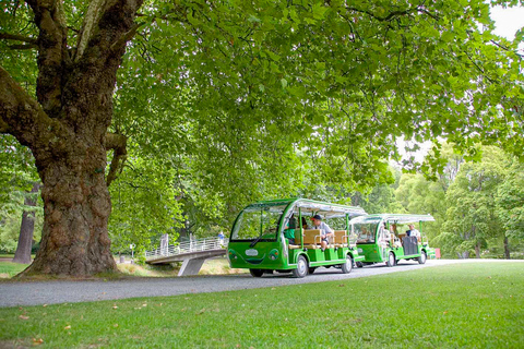 Christchurch Botanic Gardens Tour