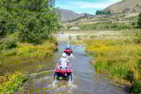 Hanmer Springs 2-Hour Quad Bike Safari - Housity