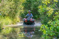 Hanmer Springs 2-Hour Quad Bike Safari - Housity