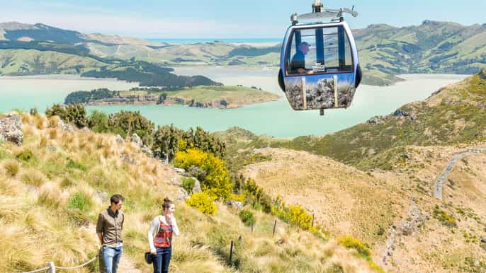 christchurch gondola and tram city tour combo