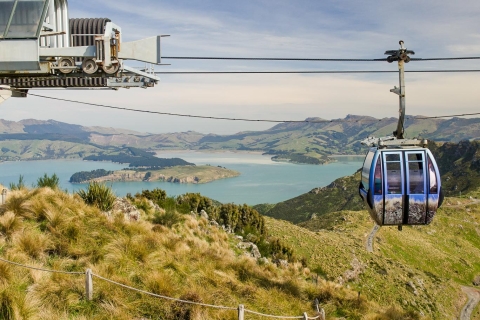 Christchurch: teleférico Gondola y crucero por el río Avon