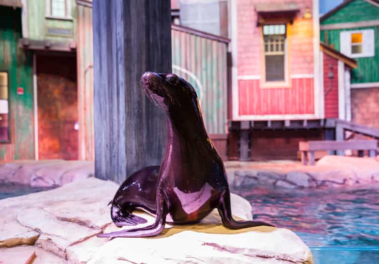 Atlanta Aquarium SkiptheBoxOffice Entry Ticket GetYourGuide