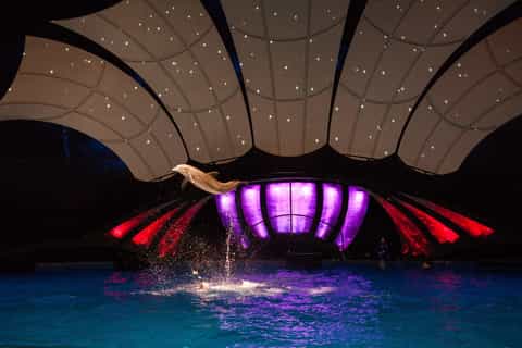 Atlanta: Georgia Aquarium Skip-the-Box-Office Entry Ticket