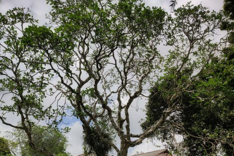 Colombo: Galle Fort, River Safari, and Coast Day Trip From Colombo, Negombo and kaluthara to Galle Fort