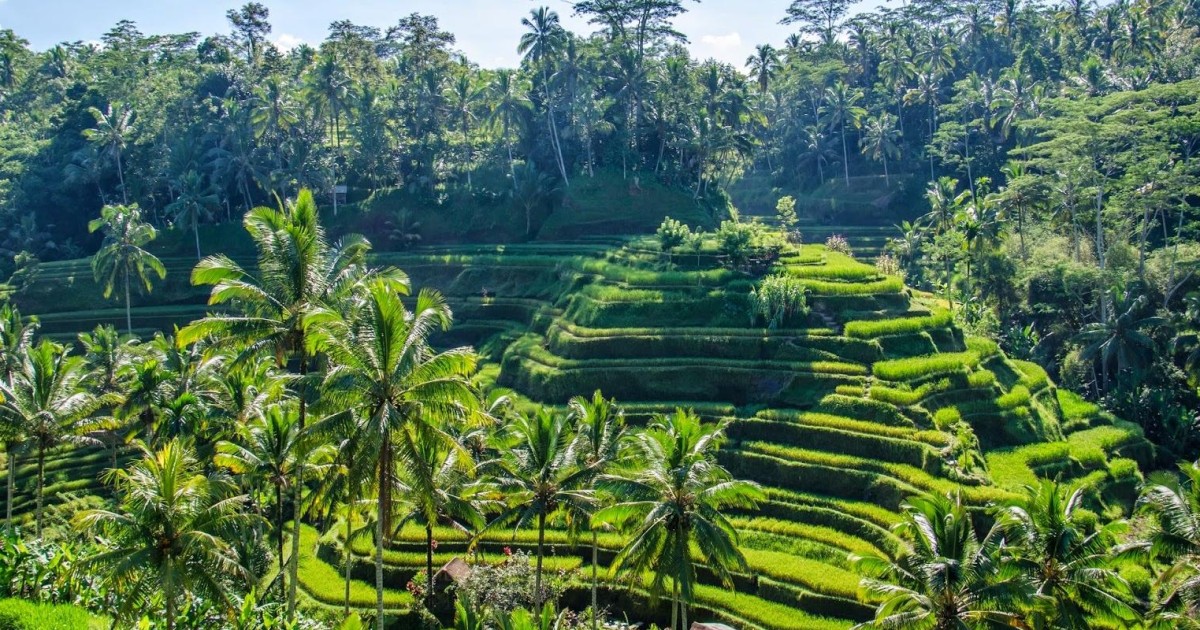  Ubud  2 Day Heart of Bali Private Tour GetYourGuide