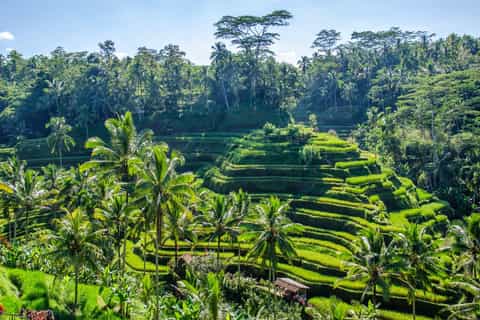 Ubud: 2-Day Heart of Bali Private Tour