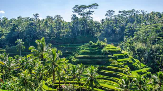ubud 2day heart of bali private tour