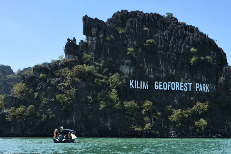 Langkawi: Tour in motoscafo delle mangrovie di Tanjung RhuBarca condivisa con trasferimento privato e pranzo