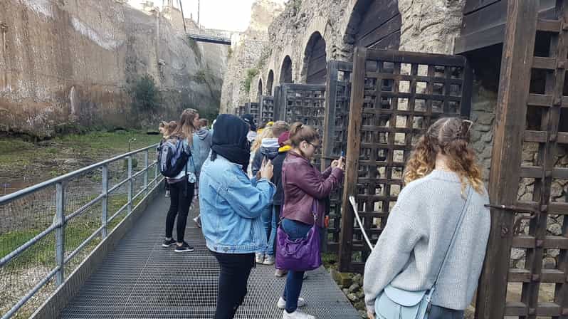 From Naples: Pompeii and Herculaneum with Traditional Lunch