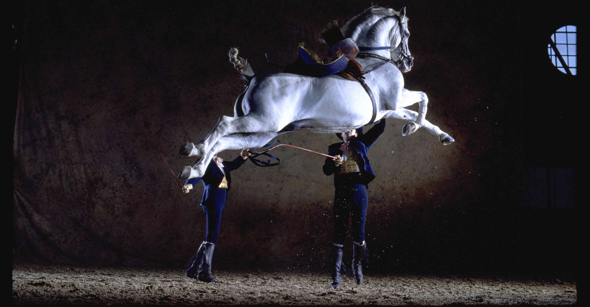 Jerez de la Frontera, How the Andalusian Horses Dance - Housity