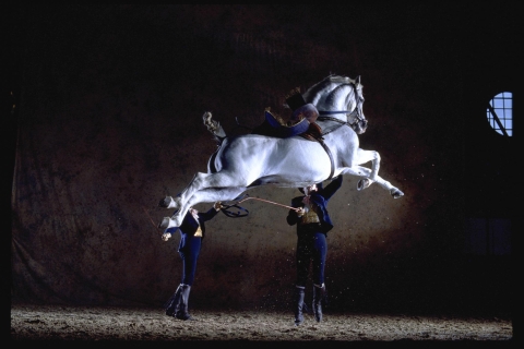 Jerez de la Frontera: Wie andalusische Pferde tanzenPlätze in der 1. oder 2. Reihe