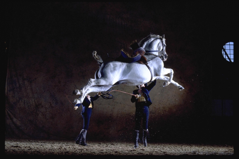 Jerez de la Frontera: jak tańczą konie andaluzyjskieMiejsce w pierwszym lub w drugim rzędzie