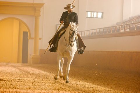 Херес-де-ла-Фронтера: как танцуют андалузские лошади